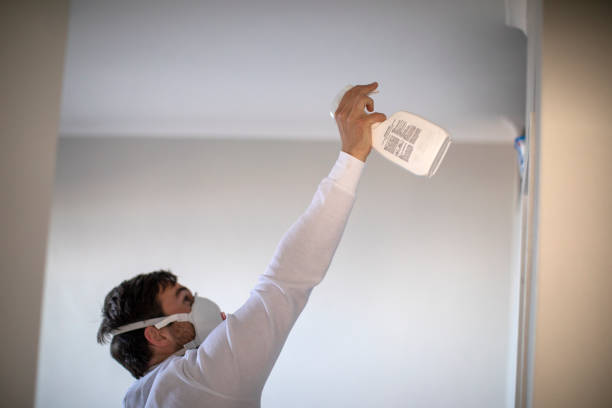 Best Local Mold Removal Service  in Damascus, OR