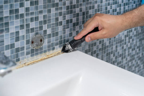 Best Mold Removal Near Me  in Damascus, OR